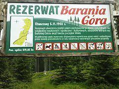 Rezerwat przyrody Barania Góra